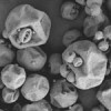 microcapsules microcapsules